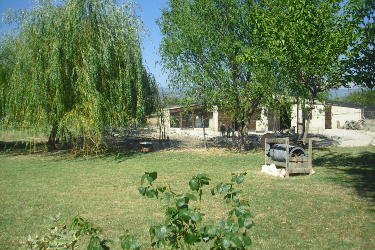 Lou Mas Li Pitchoun "L'Olivade" Apartment Gordes Exterior foto