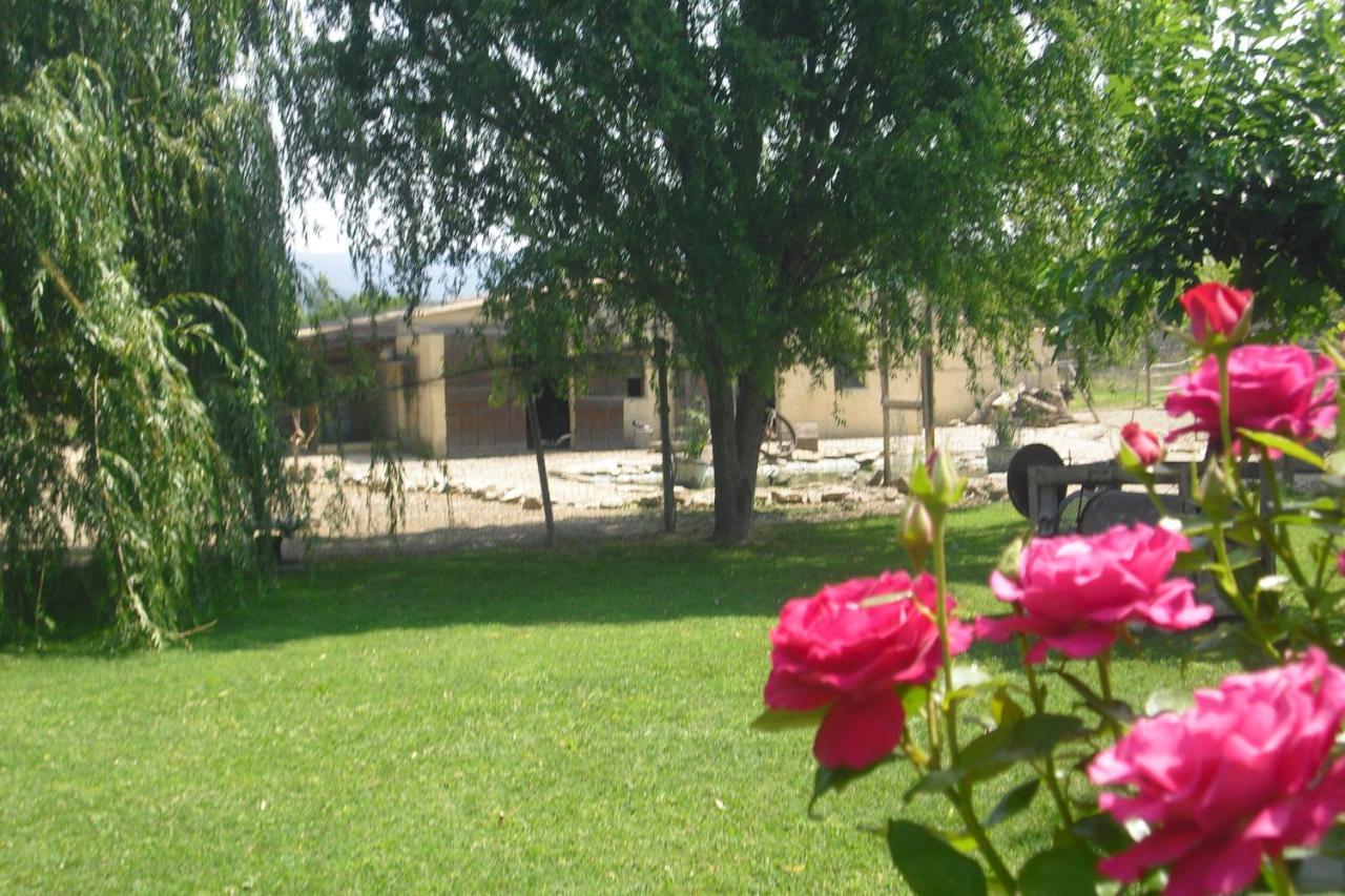 Lou Mas Li Pitchoun "L'Olivade" Apartment Gordes Exterior foto