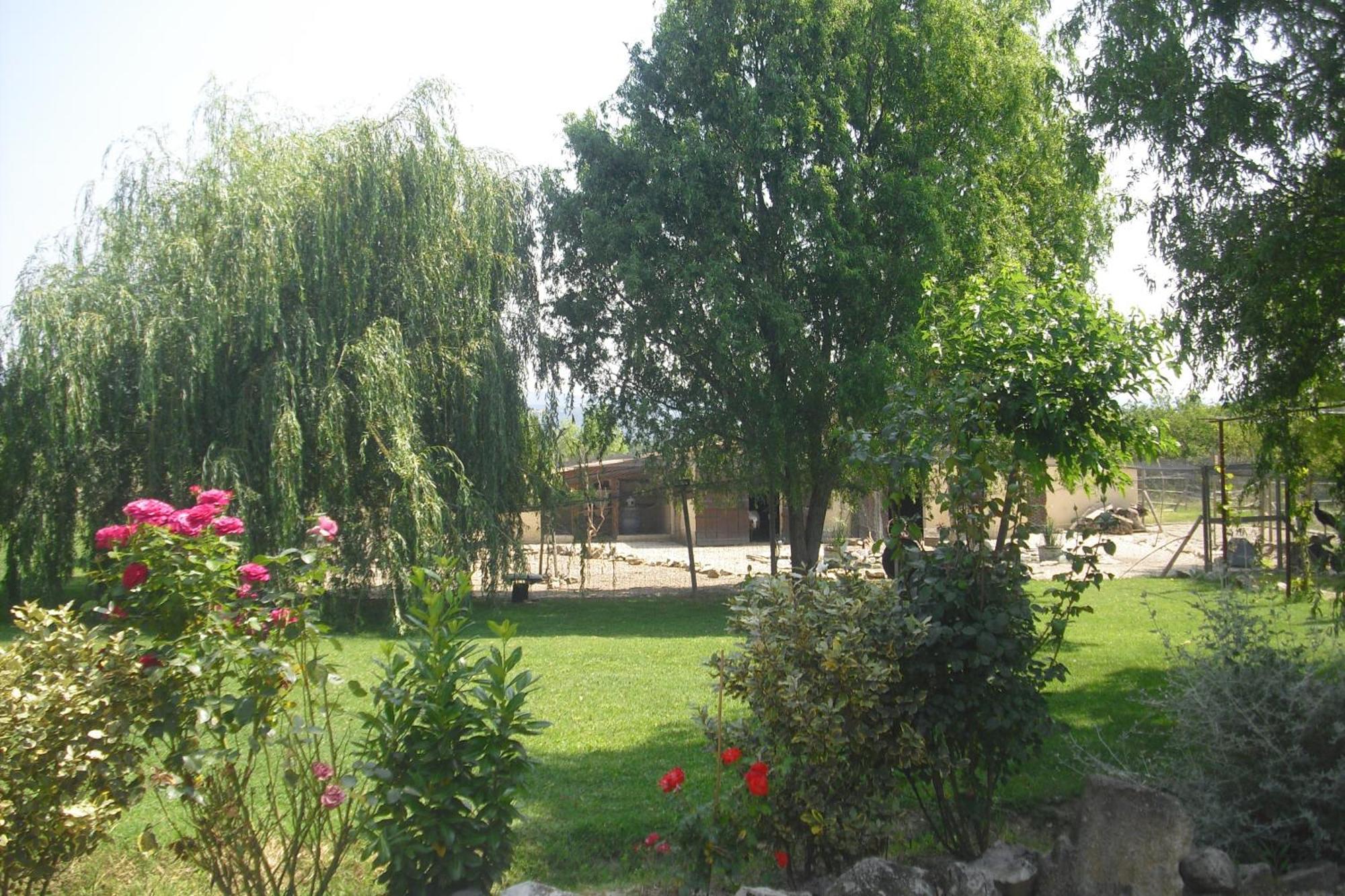 Lou Mas Li Pitchoun "L'Olivade" Apartment Gordes Exterior foto
